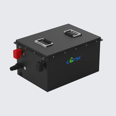 51Pin LFP AGV.2V 100Ah